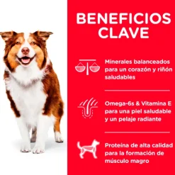 Hills Canine Mature Active Longevity 7+