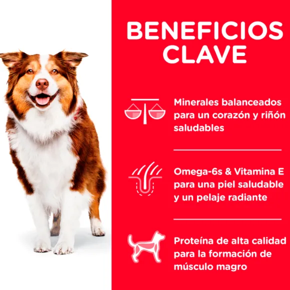 Hills Canine Mature Active Longevity 7+