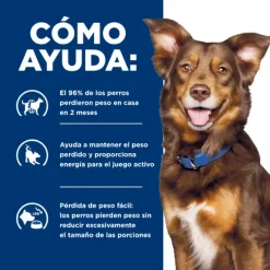 Hills Canine Metabolic