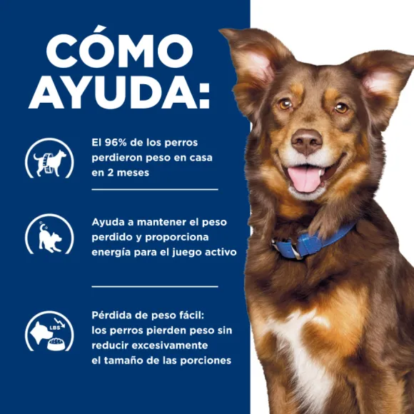 Hills Canine Metabolic