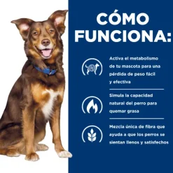 Hills Canine Metabolic