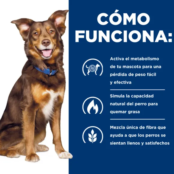 Hills Canine Metabolic