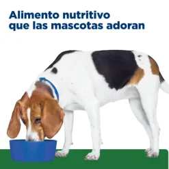 Hills Canine R/D Weight Reduction