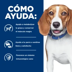 Hills Canine R/D Weight Reduction