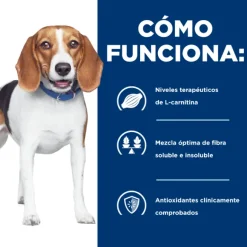 Hills Canine R/D Weight Reduction