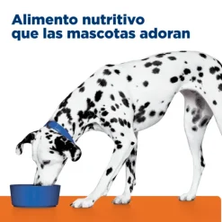 Hills Canine U/D Urinary Care