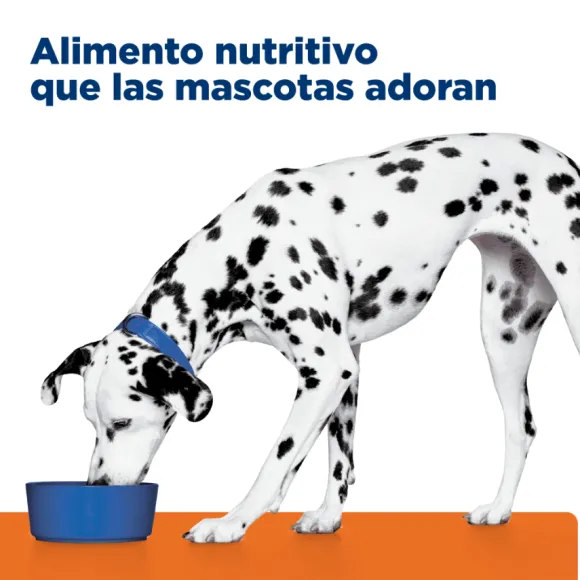 Hills Canine U/D Urinary Care