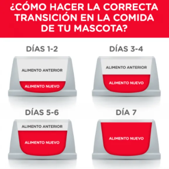 Hills Canine Youthful Vitality 7+ Small & Toy Breed