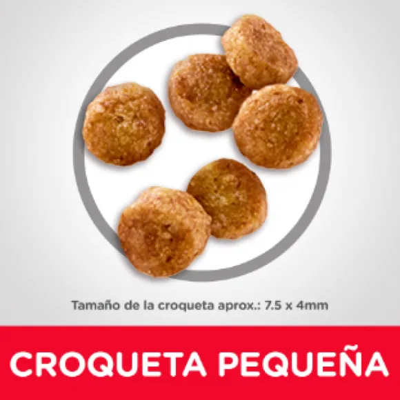 Hills Canine Youthful Vitality 7+ Small & Toy Breed