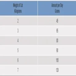 Hills Feline Adult Indoor 11+ Age Defying