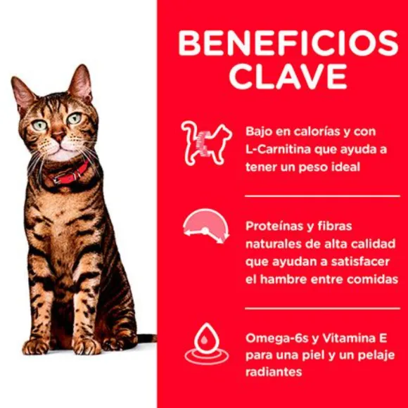 Hills Feline Adult Light Dry Alimento Para Gato