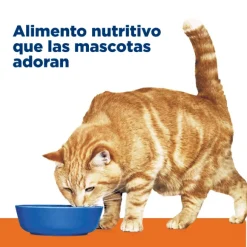 Hills Feline C/D Urinary Care Multicare