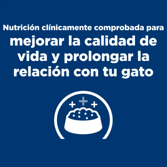 Hills Feline K/D Kidney Care