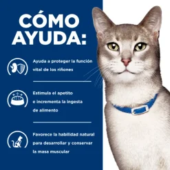 Hills Feline K/D Kidney Care