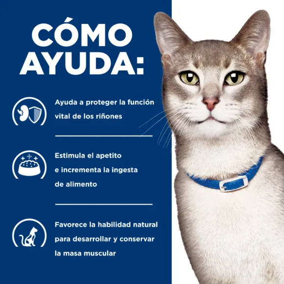 Hills Feline K/D Kidney Care