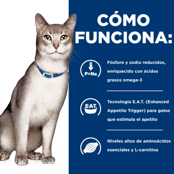 Hills Feline K/D Kidney Care