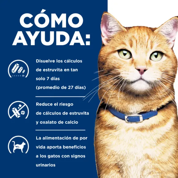 Hills Feline Lata Multicare Pollo C/D Alimento H Medo Para Gatos