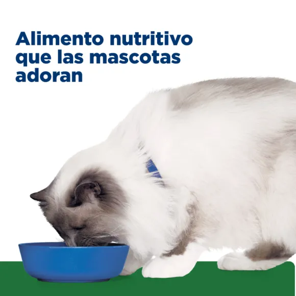 Hills Feline R/D Weight Reduction