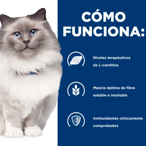 Hills Feline R/D Weight Reduction