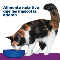 Hills Feline Y/D Thyroid Care 1.81 Kg