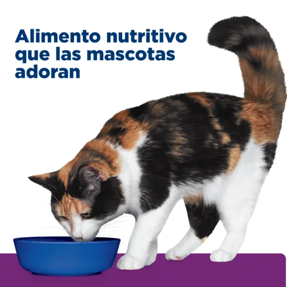 Hills Feline Y/D Thyroid Care 1.81 Kg