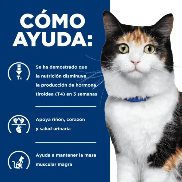 Hills Feline Y/D Thyroid Care 1.81 Kg