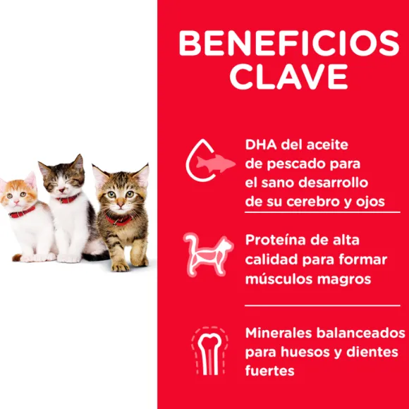 Hills Kitten Healthy Development Alimento Para Gato