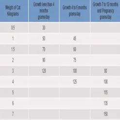 Hills Kitten Indoor Alimento Para Gato