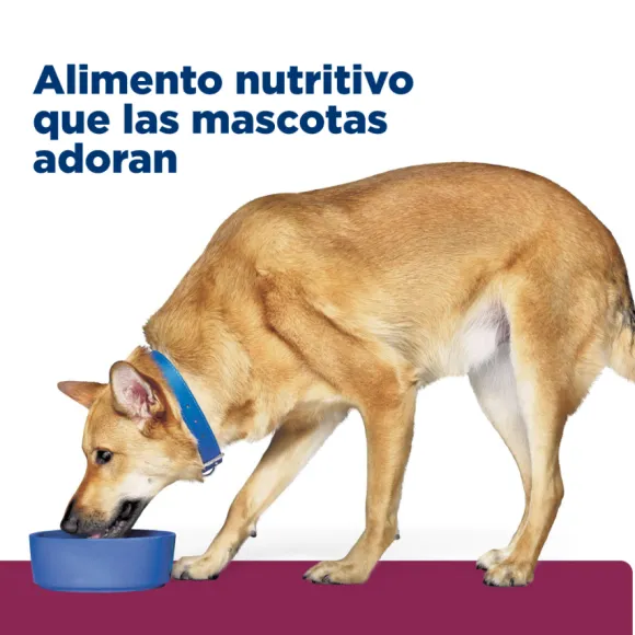 Hills Lata Canine I/D Cuidado Digetivo Alimento H Medo Para Perros