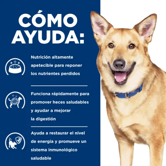 Hills Lata Canine I/D Cuidado Digetivo Alimento H Medo Para Perros