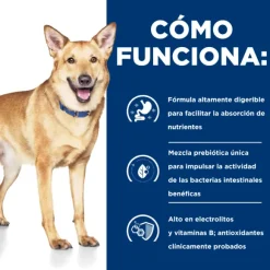 Hills Lata Canine I/D Cuidado Digetivo Alimento H Medo Para Perros