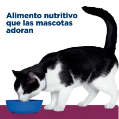 Hills Lata Feline I/D Cuidado Digestivo Alimento H Medo Para Gatos