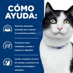 Hills Lata Feline I/D Cuidado Digestivo Alimento H Medo Para Gatos