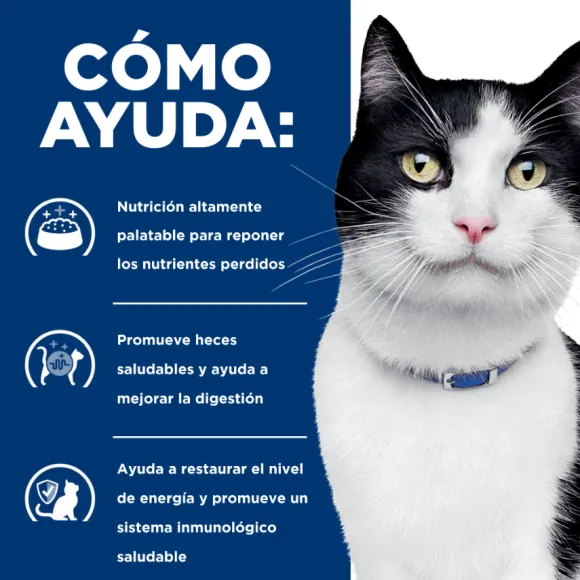Hills Lata Feline I/D Cuidado Digestivo Alimento H Medo Para Gatos