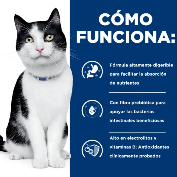 Hills Lata Feline I/D Cuidado Digestivo Alimento H Medo Para Gatos