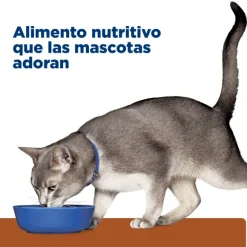 Hills Lata Feline K/D Cuidado Ri On Alimento H Medo Para Gatos