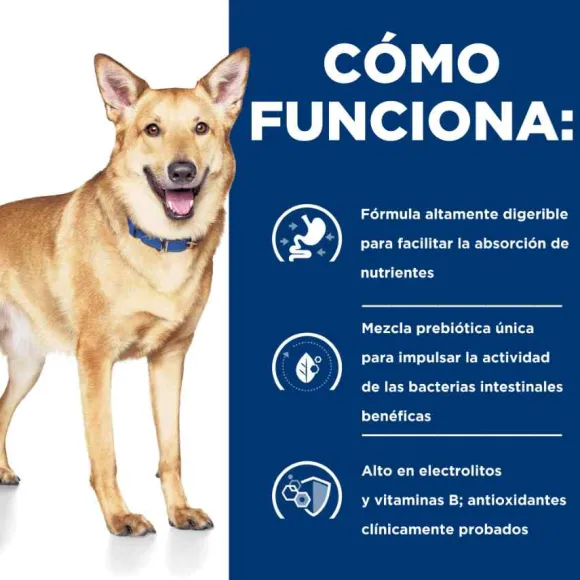 Hill'S Prescription Diet Cuidado Digestivo Alimento H Medo Para Perros Peque Os 156 Gr