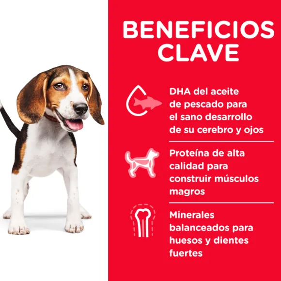 Hills Puppy Healthy Development Alimento Para Perro