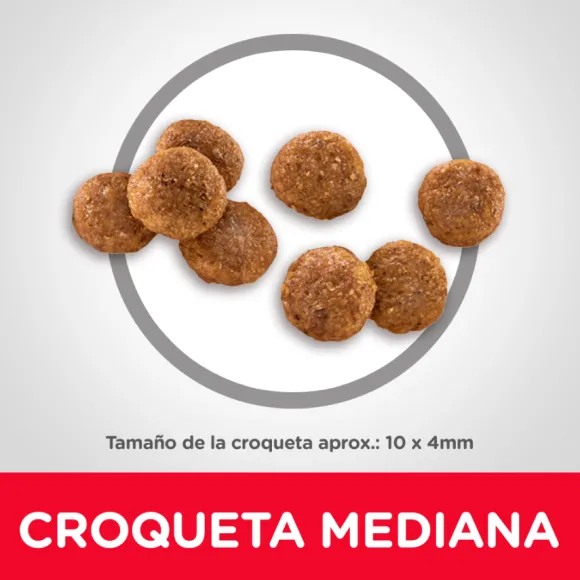 Hills Puppy Healthy Development Alimento Para Perro