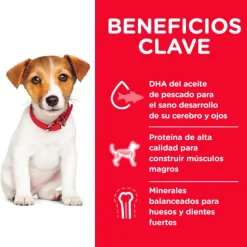 Hills Puppy Small Bites Receta De Harina De Pollo Y Cebada Alimento Para Perro