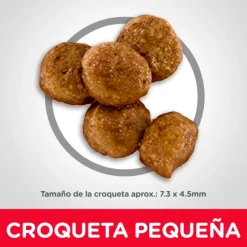 Hills Puppy Small Bites Receta De Harina De Pollo Y Cebada Alimento Para Perro