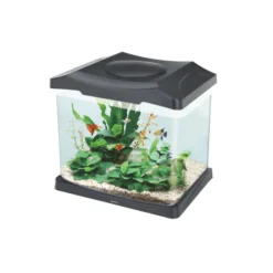 Kit: Acuario Curvo. Sistema De Filtraci N E Iluminaci N 22 Lt