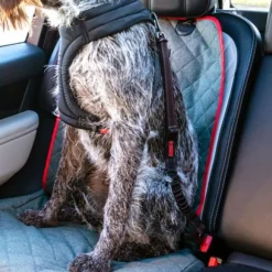 Kong Deluxe Swivel Tether