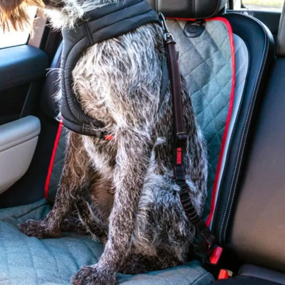 Kong Deluxe Swivel Tether