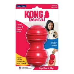 Kong Dental Large