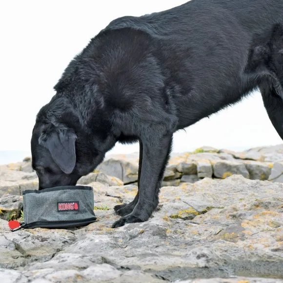 Kong Fold-Up Travel Bowl