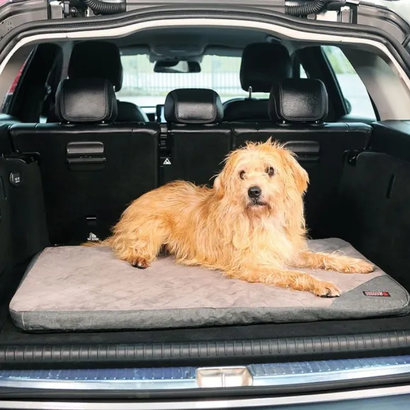 Kong Fold-Up Travel Mat