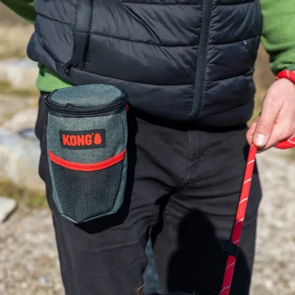 Kong Pick-Up Pouch