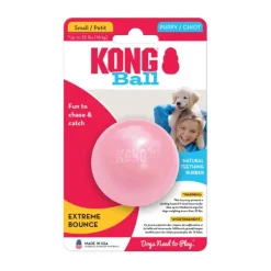 Kong Puppy Ball