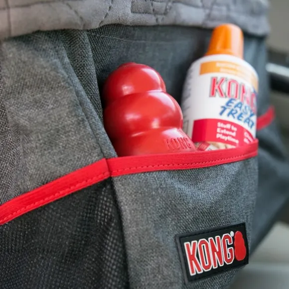 Kong Secure Booster Seat